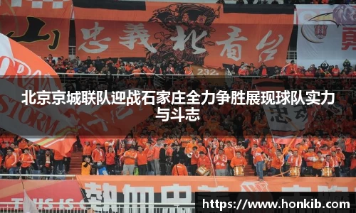 北京京城联队迎战石家庄全力争胜展现球队实力与斗志